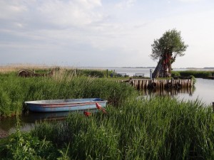 Hafen Zempin